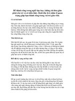 Bí quyết thành công trong nghề dạy học