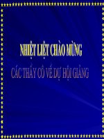 THÔNG TIN VỀ NGÀY TRÁI ĐẤT NĂM 2000