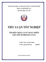 tiểu luận môn điện tử ô tô tìm hiểu động cơ sử dụng nhiên liệu kép hydrogen xăng