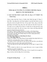 luận văn kế toán Báo cáo TÌNH HÌNH THỰC TẾ TỔ CHỨC CÔNG TÁC KẾ TOÁN TẠI CÔNG TY CP TM&DV TÂN THÀNH HƯNG