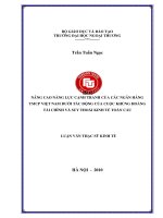 luận văn thạc sĩ kinh tế nâng cao năng lực cạnh tranh của các ngân hàng