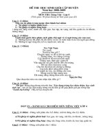 Đề thi HSG môn Tiếng Việt 4