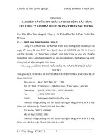 luận văn kế toán  THỰC TRẠNG KẾ TOÁN BÁN HÀNG CỦA CÔNG TY CỔ PHẦN ĐẦU TƯ & PHÁT TRIỂN BẢO DƯƠNG