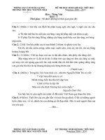 ĐỀ THI HS GIOI- TIẾNG VIỆT 5