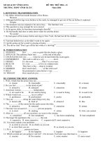 de thi thu HSG tieng anh 11