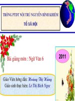 tiết 109 Cây Tre Việt  Nam