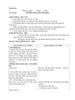 GIAO AN LOP 5 HKII THEO TUAN