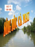 huygia v6 SÔNG NƯỚC CÀ MAU