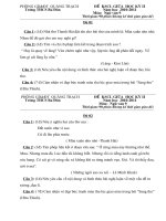 Khảo sát chất lượng giữa kỳ II Văn 9