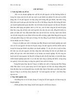 luận văn kế toán  Công tác kế toán nguyên vật liệu tại Công ty cổ phần sản xuất và thương mại Bắc Hưng