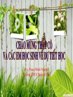 bai 39 bai tiet nuoc tieu- thuc tap quan