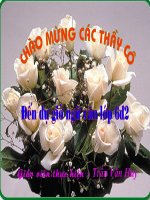 huygia V6 CỤM DANH TỪ