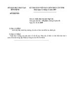 Đề thi Kiến thức bộ môn Ngữ văn tỉnh Bình Định năm học 2009 – 2010.