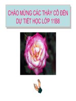 Các quy tắc tính dạo hàm tiết 1