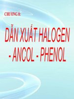 DAN XUAT HALOGEN NANG CAO HAY NHAT