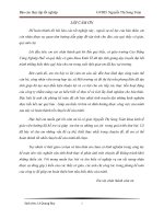 TỔNG QUAN VỀ HỢP TÁC XÃ MÔI TRƯỜNG VÀ ĐÔ THỊ THỊ TRẤN PHONG ĐIỀN