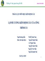 THẢO LUẬN MÔN HỌC KIỂM ĐỊNH CẦU-LẬP ĐỀ CƯƠNG KIỂM ĐỊNH CẦU CỦA CÔNG TRÌNH C11
