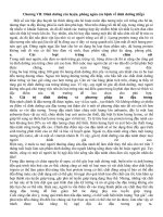 Bách khoa tri thức chăm sóc con trẻ toàn diện (tập 2)