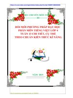 ĐỔI MỚI PHƯƠNG PHÁP DẠY HỌC  PHÂN MÔN TIẾNG VIỆT LỚP 4  TUẦN 13 CHI TIẾT, CỤ THỂ    THEO CHUẨN KIẾN THỨC KĨ NĂNG.