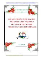 ĐỔI MỚI PHƯƠNG PHÁP DẠY HỌC  PHÂN MÔN TIẾNG VIỆT LỚP 4  TUẦN 33  CHI TIẾT, CỤ THỂ  THEO CHUẨN KIẾN THỨC KĨ NĂNG