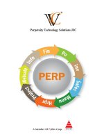 BÀI BÁO CÁO-GIẢI PHÁP TỔNG THỂ cho Quản trị Doanh nghiệp