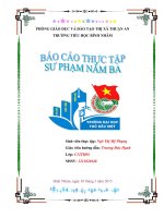 BÁO CÁO THU HOẠCH  THỰC TẬP SƯ PHẠM NĂM THỨ BA BẬC TIỂU HỌC
