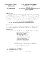 DeDA HSG Tinh DakLakV1-- 2010