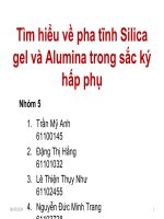 BÀI BÁO CÁO THẢO LUẬN-Tìm hiểu về pha tĩnh Silica gel và Alumina trong sắc ký hấp phụ