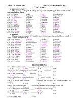 On thi HK II- anh 9 (2010-2011)