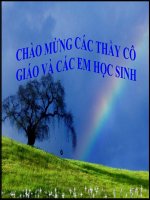 Hợp kim của sắt - GVG Bắc Ninh