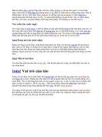 mot so tranh anh ve tao