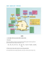 Chuyên đề: -AMIN