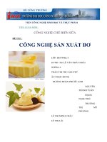 TIỂU LUẬN-CÔNG NGHỆ CHẾ BIẾN SỮA-CÔNG NGHỆ SẢN XUẤT BƠ