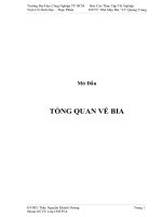 BÀI THỰC TẬP-TỔNG QUAN VỀ BIA 33
