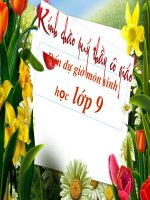 bai giang minh hoa chuyen de