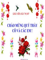 Bai 29 Cau truc cac loai virus
