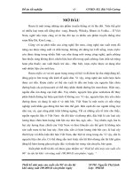 THIẾT KẾ NHÀ MÁY SẢN XUẤT CỒN 96 TỪ LÁT SẮN KHÔ NĂNG SUẤT 100.000 LÍT -NGÀY