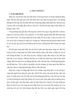 BÁO CÁO THỰC TẬP-KINH NGHIỆM QUẢN LÝ CÔNG TÁC PHỤ ĐẠO HỌC SINH YẾU KÉM 11