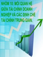 BÀI BÁO CÁO-MỐI QUAN HỆ GIỮA TÀI CHÍNH DOANH NGHIỆP VÀ CÁC ĐỊNH CHẾ TÀI CHÍNH TRUNG GIAN