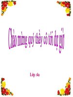 câu hỏi và dấu chấm hỏi