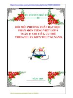 ĐỔI MỚI PHƯƠNG PHÁP DẠY HỌC  PHÂN MÔN TIẾNG VIỆT LỚP 4  TUẦN 14 CHI TIẾT, CỤ THỂ    THEO CHUẨN KIẾN THỨC KĨ NĂNG.