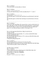 Đề thi HSG Tỉnh năm 2010 -2011