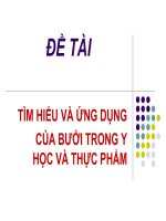 BÁO CÁO THỰC TẬP-TÌM HIỂU VÀ ỨNG DỤNG CỦA BƯỞI TRONG Y HỌC VÀ THỰC PHẨM
