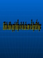 H2SO4 - T2. GVG Bắc Ninh 2011