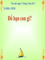 Tuan 29: Một số con vật sống dưới nước