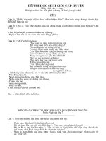 đề thi học sinh giỏi văn