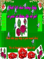 cay da que huong hot