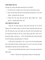 tóm tắt đề tài Bảo vệ thành vách và tiêu nước cho hố móng cát chảy