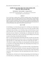 Nghiên cứu xác định công thức tảng khoáng liếm thích hợp trên cừu sinh sản