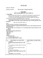 lớp 2 tuần 29 CKT-KNSMT(3 cột)